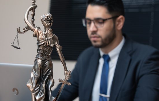 right, advocacy, lex, attorney, jura, justice, the regulation, bookshelf, paragraph, cool, law, symbol, goddess, justitia, the court, the case-law, woman, europe, bronze, the fair, business, horizontal, jus, statue, female, attorney, attorney, attorney, attorney, attorney, justice, law, law, law, law